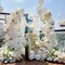 White Balloons 12 inch, White Latex Balloons 50pcs Party Balloon for Engagement Bachelorette Bridal Shower Wedding Party Birthday Decorations